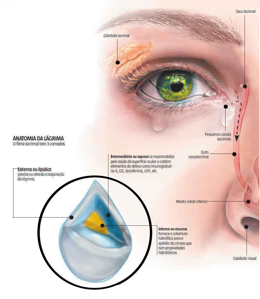 1 aparelho lacrimal neovisao copy - Neovisão